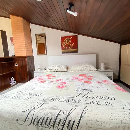 Apartment Vesna *